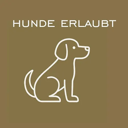 Penthouse Im Gm By A-appartments Lodge Brand (Vorarlberg)